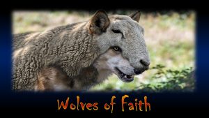Wolves of Faith