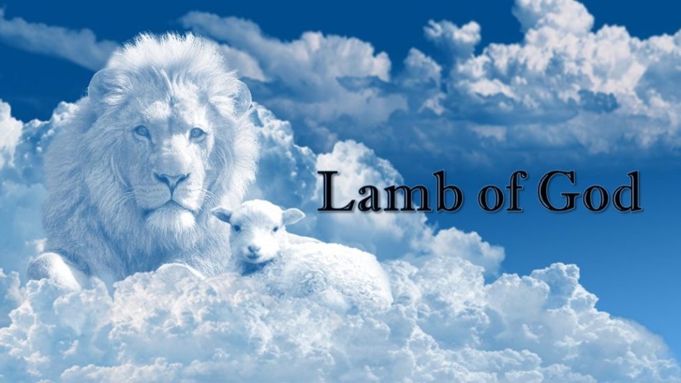 Lamb of God